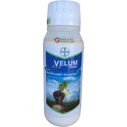 BAYER VELUM PRIME NEMATOCIDA SISTEMICO A BASE di Fluopyram ML.