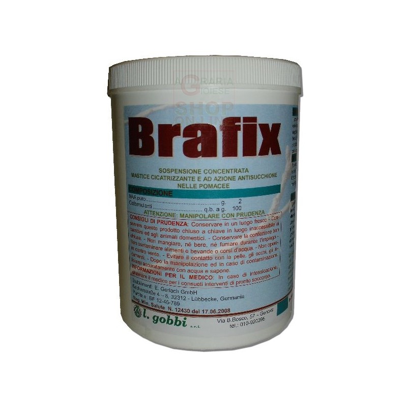 GOBBI BRAFIX MASTICE PER INNESTO CICATRIZZANTE PROTETTIVO KG. 1