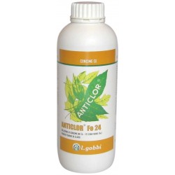 GOBBI FERRO CHELATO ANTICLOR FE 24 LT. 1