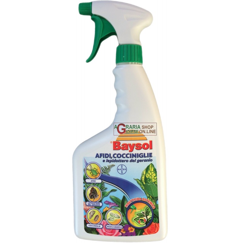 wholesale pesticides BAYSOL CALYPSO PROTECTOR INSETTICIDA