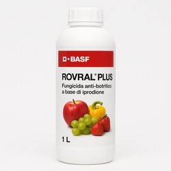 wholesale pesticides BASF ROVRAL PLUS FUNGICIDA ANTI BOTRITICO
