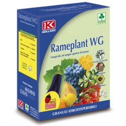 wholesale pesticides RAMEPLANT WG FUNGICIDA OSSICLORURO DI RAME