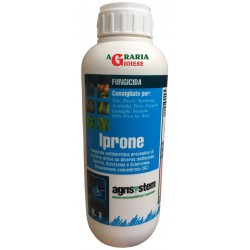 AGRISYSTEM IPRONE FUNGICIDA ANTI BOTRITICO A BASE DI IPRODIONE