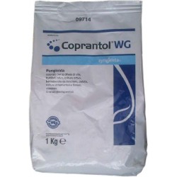 wholesale pesticides SYNGENTA COPRANTOL WG KG.1 OSSICLORURO DI