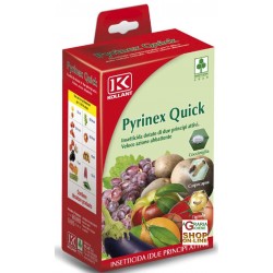 KOLLANT PYRINEX QUICK INSETTICIDA DOPPIO PRINCIPIO ATTIVO ML.