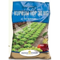 wholesale pesticides KUPRUM TOP 30 WG BLU KG. 1
