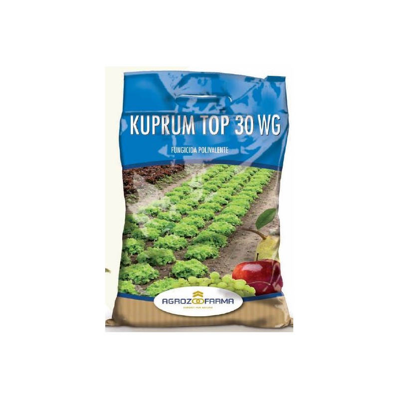 KUPRUM TOP 30 WG BLU KG. 1