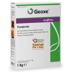 wholesale pesticides SYNGENTA FUNGICIDA GEOXE KG. 1 FLUDIOXONIL